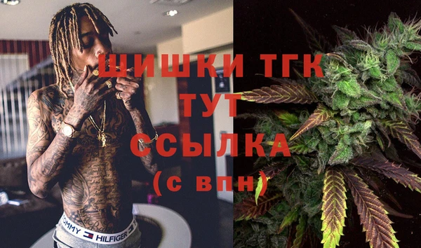 гидра Надым